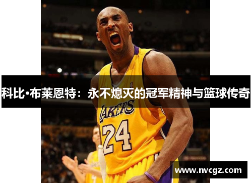 科比·布莱恩特：永不熄灭的冠军精神与篮球传奇