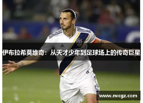 伊布拉希莫维奇：从天才少年到足球场上的传奇巨星